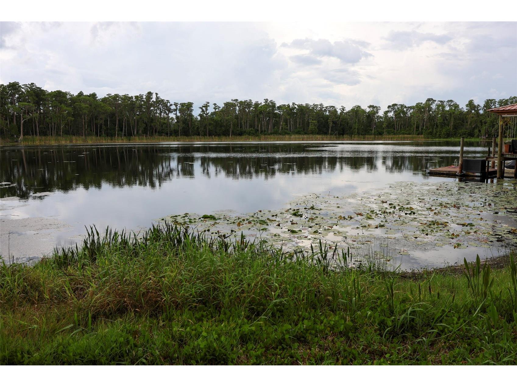 730 Crystal Lake Rd Lutz FL 33548 - SOUTH CRYSTAL LAKE TB8525294 image47