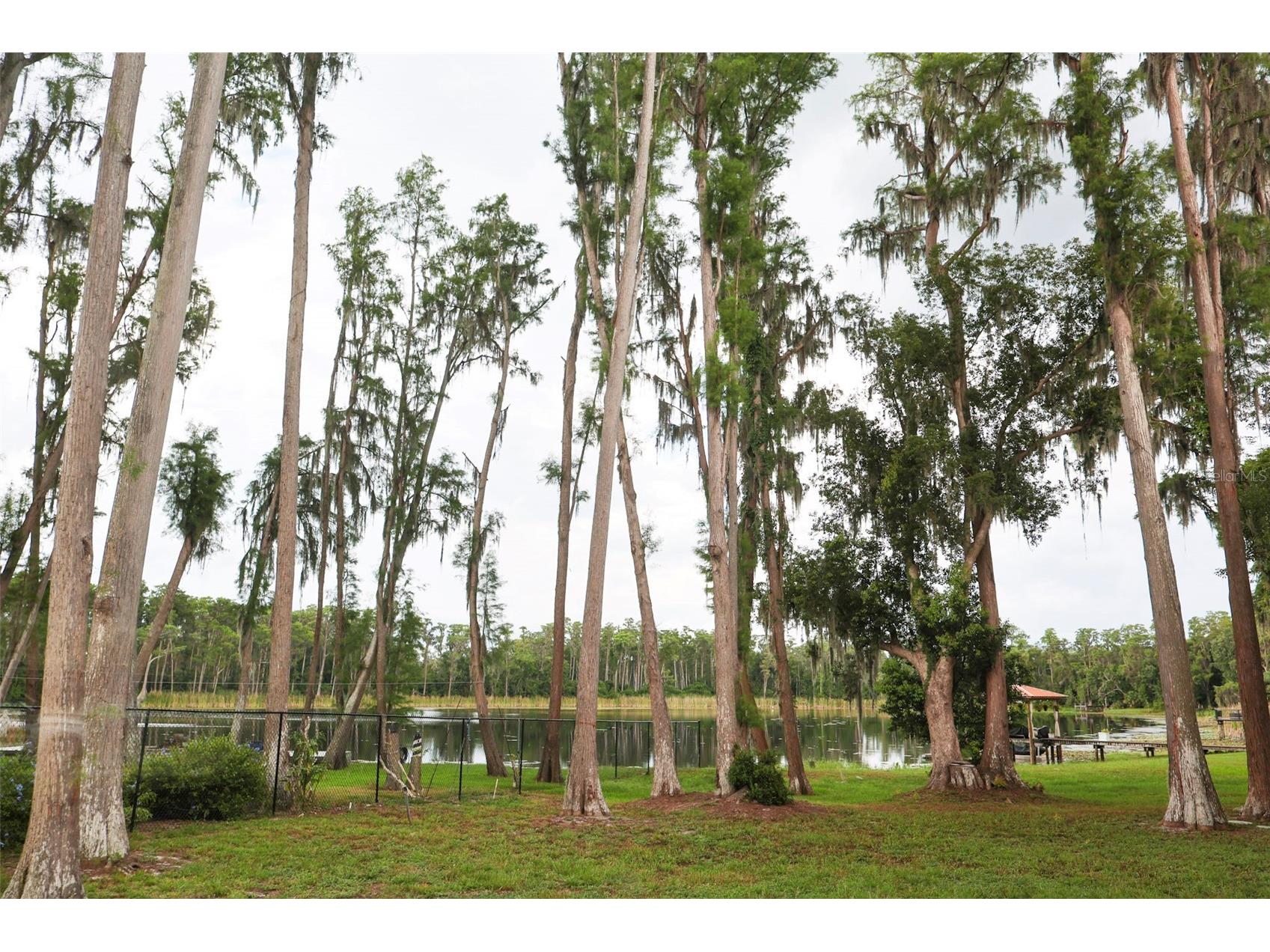730 Crystal Lake Rd Lutz FL 33548 - SOUTH CRYSTAL LAKE TB8525294 image50