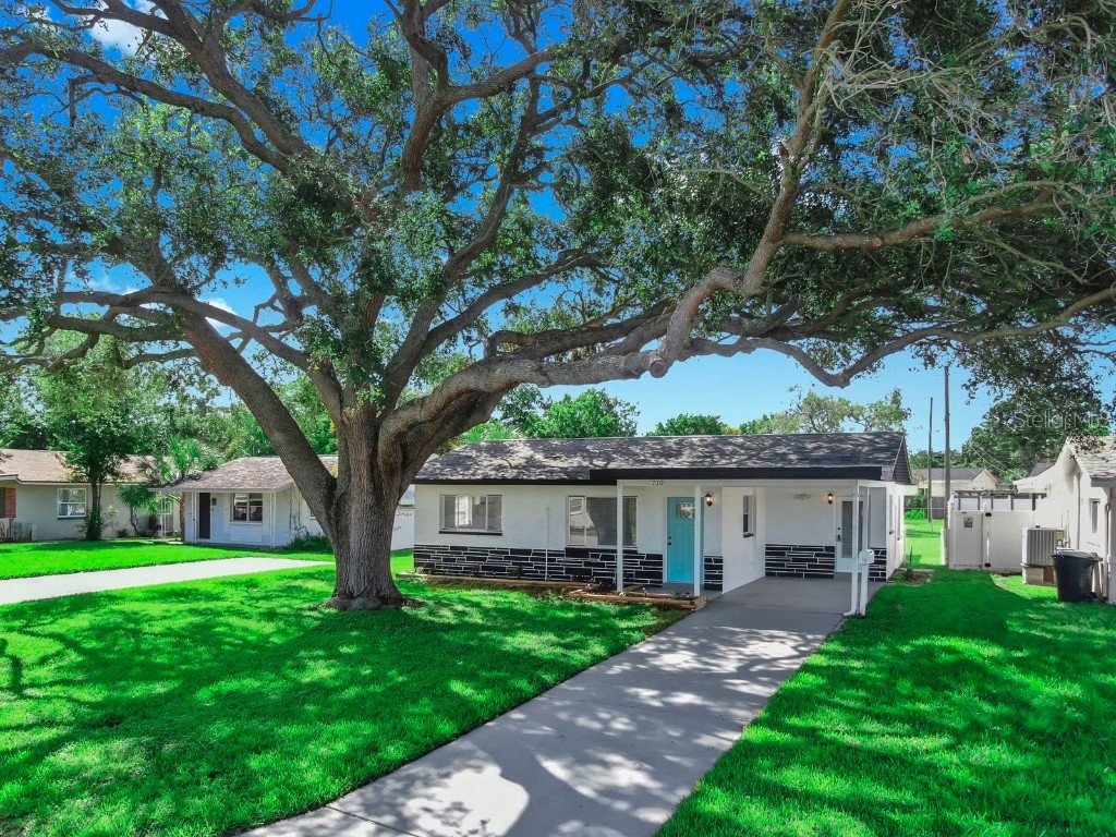 730 Lynndale Street N Saint Petersburg FL 33703 TB8437280 image47