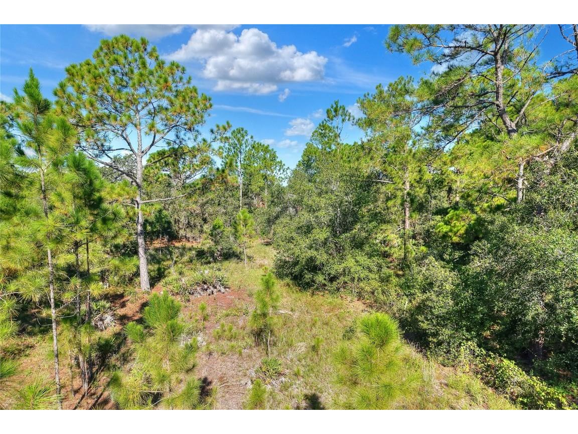 730 Mcclellan Road Frostproof FL 33843 TB8416845 image15