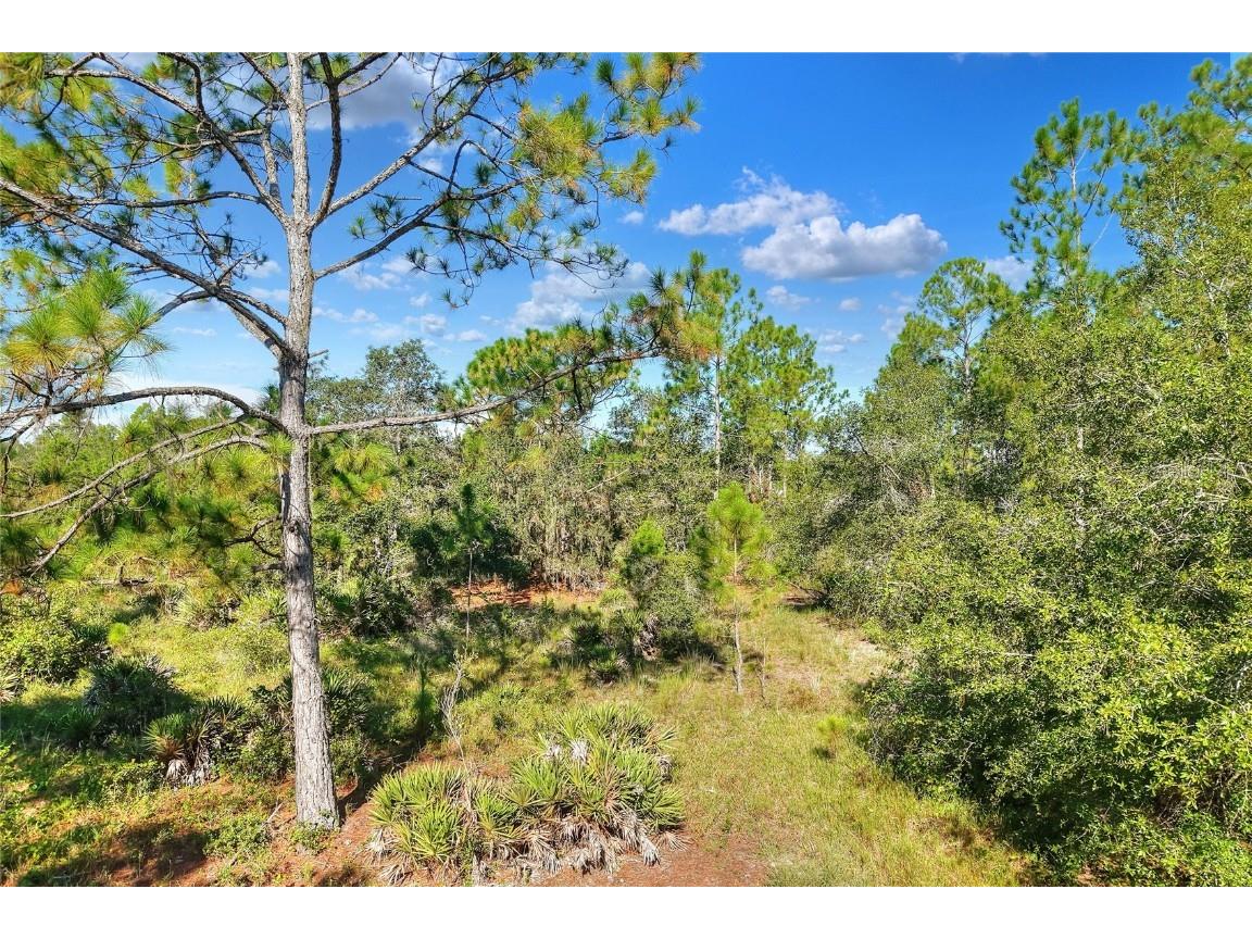 730 Mcclellan Road Frostproof FL 33843 TB8416845 image48