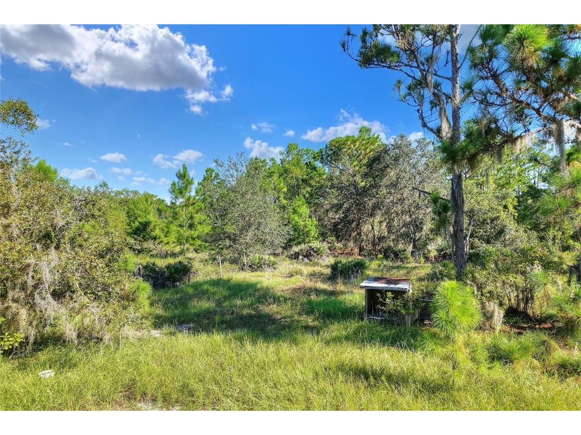 730 Mcclellan Road Frostproof FL 33843 TB8416845 image49