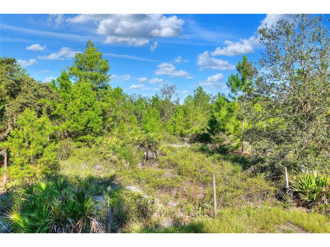 730 Mcclellan Road Frostproof FL 33843 TB8416845 image50