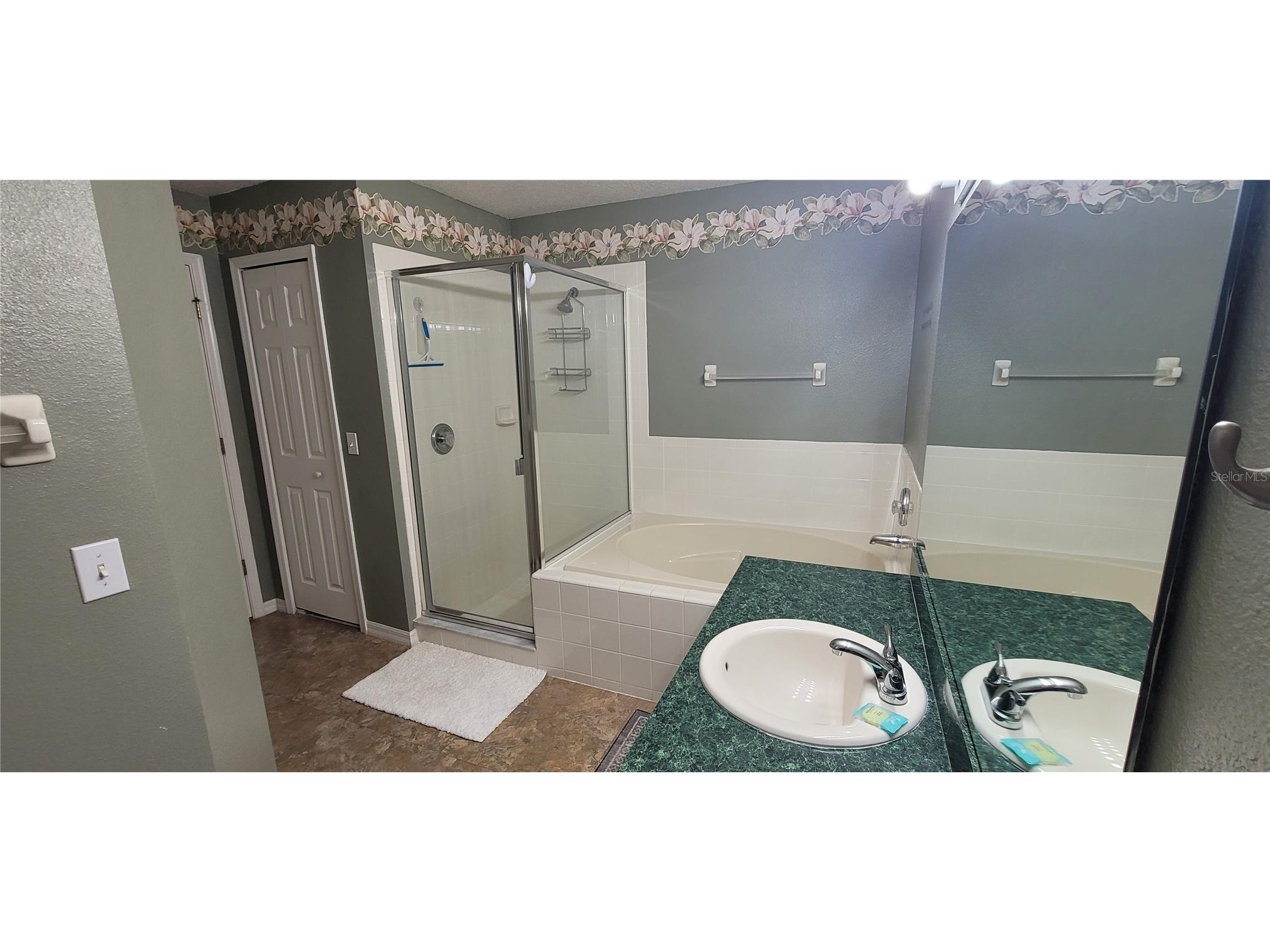 730 Pine Cone Drive Davenport FL 33897 O6410611 image8