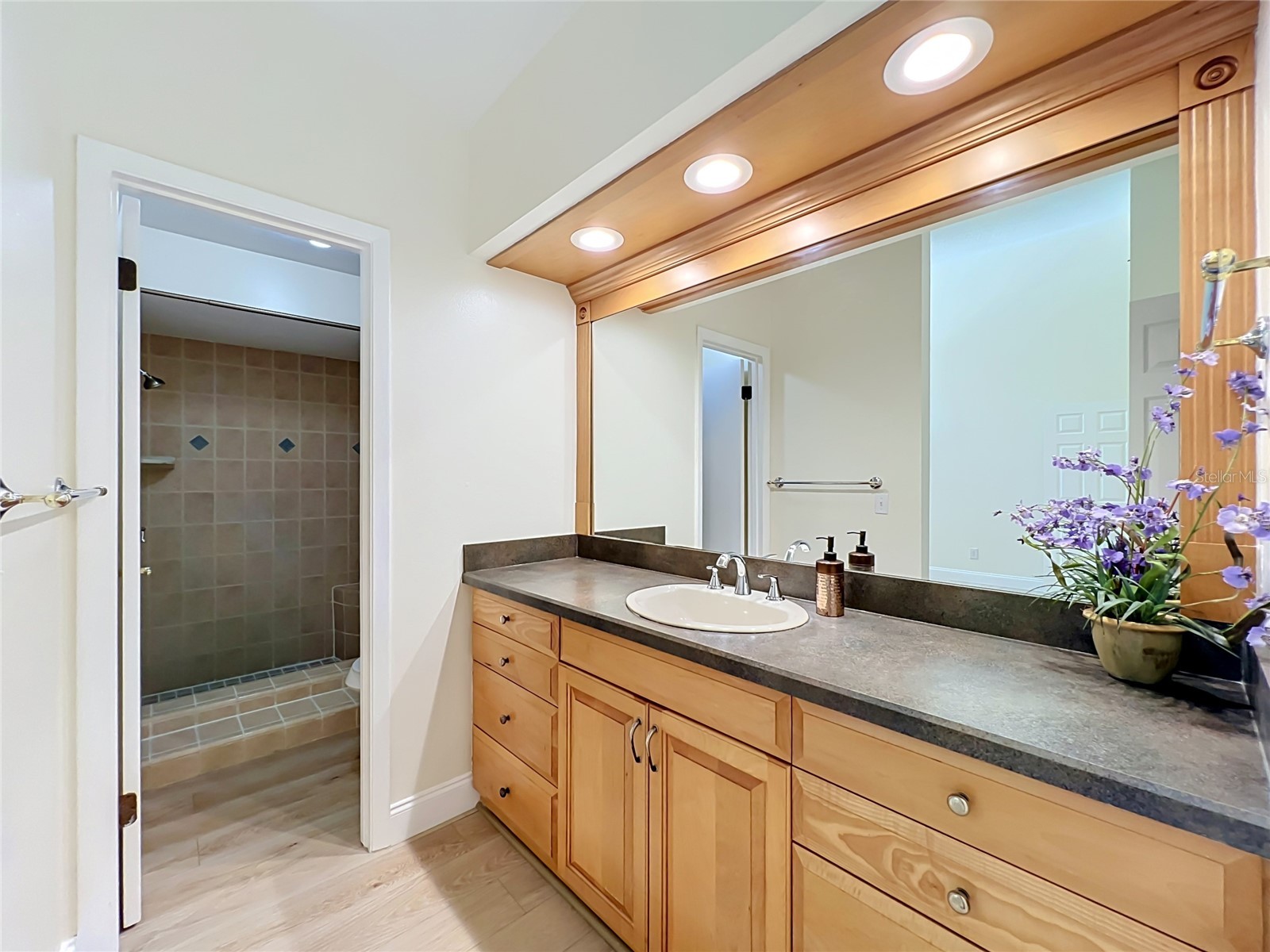 730 Sandpiper Circle Longwood FL 32750 O6420004 image25