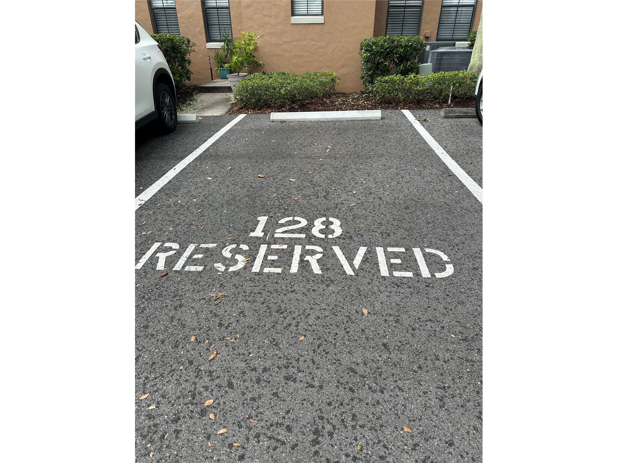 730 Siena Palm Drive #204 Kissimmee FL 34747 S5150734 image31
