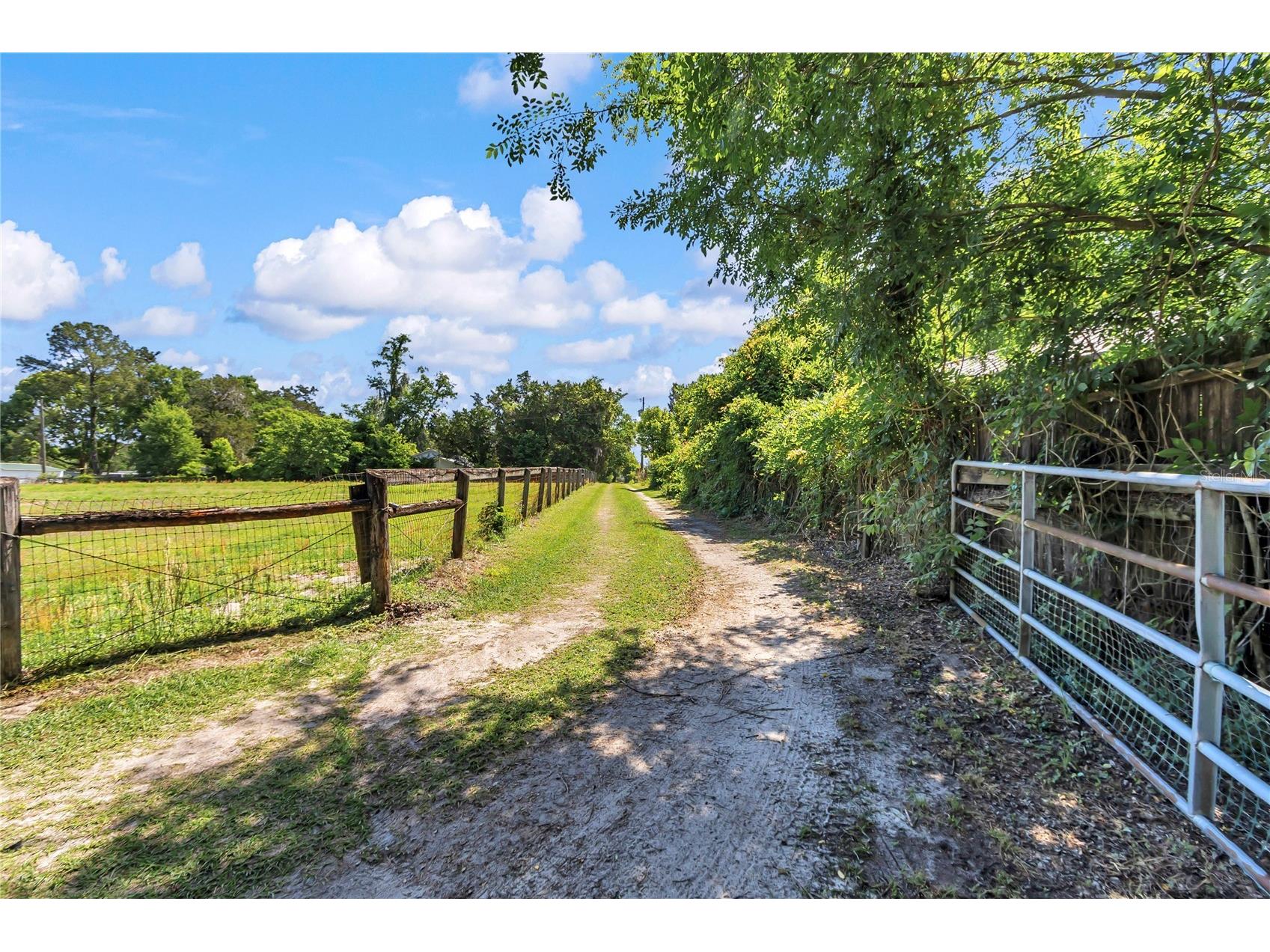 730 SW 125th Avenue Ocala FL 34481 OM722839 image37