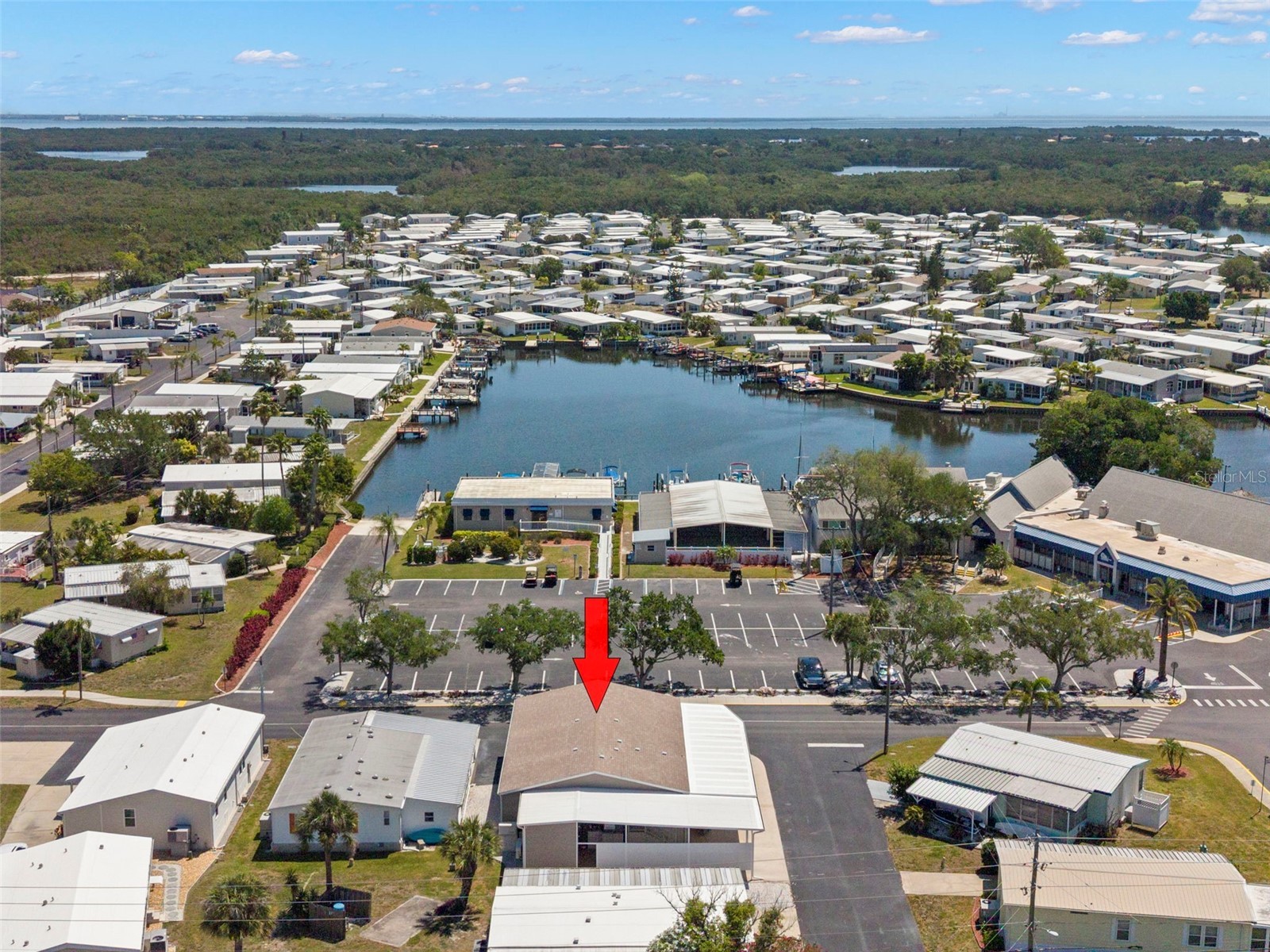 7300 Americana Drive NE #143 Saint Petersburg FL 33702 - TAMPA BAY TB8499525 image2