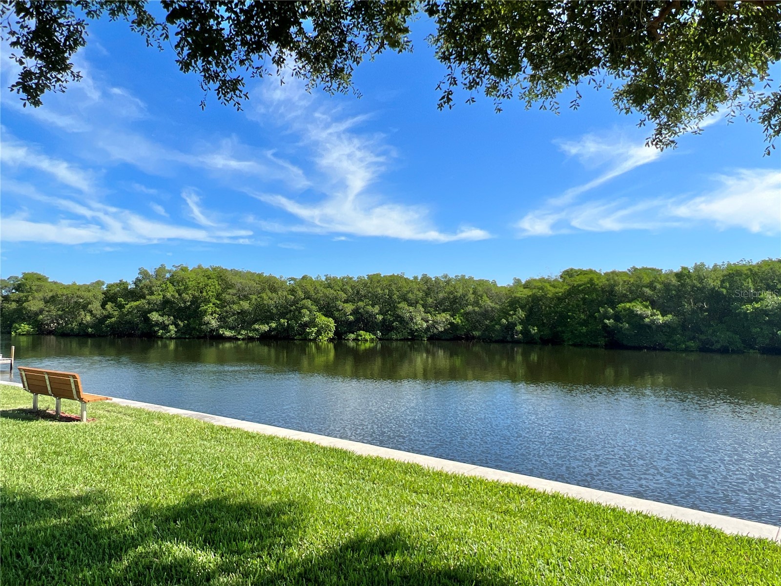 7300 Americana Drive NE #143 Saint Petersburg FL 33702 - TAMPA BAY TB8499525 image49