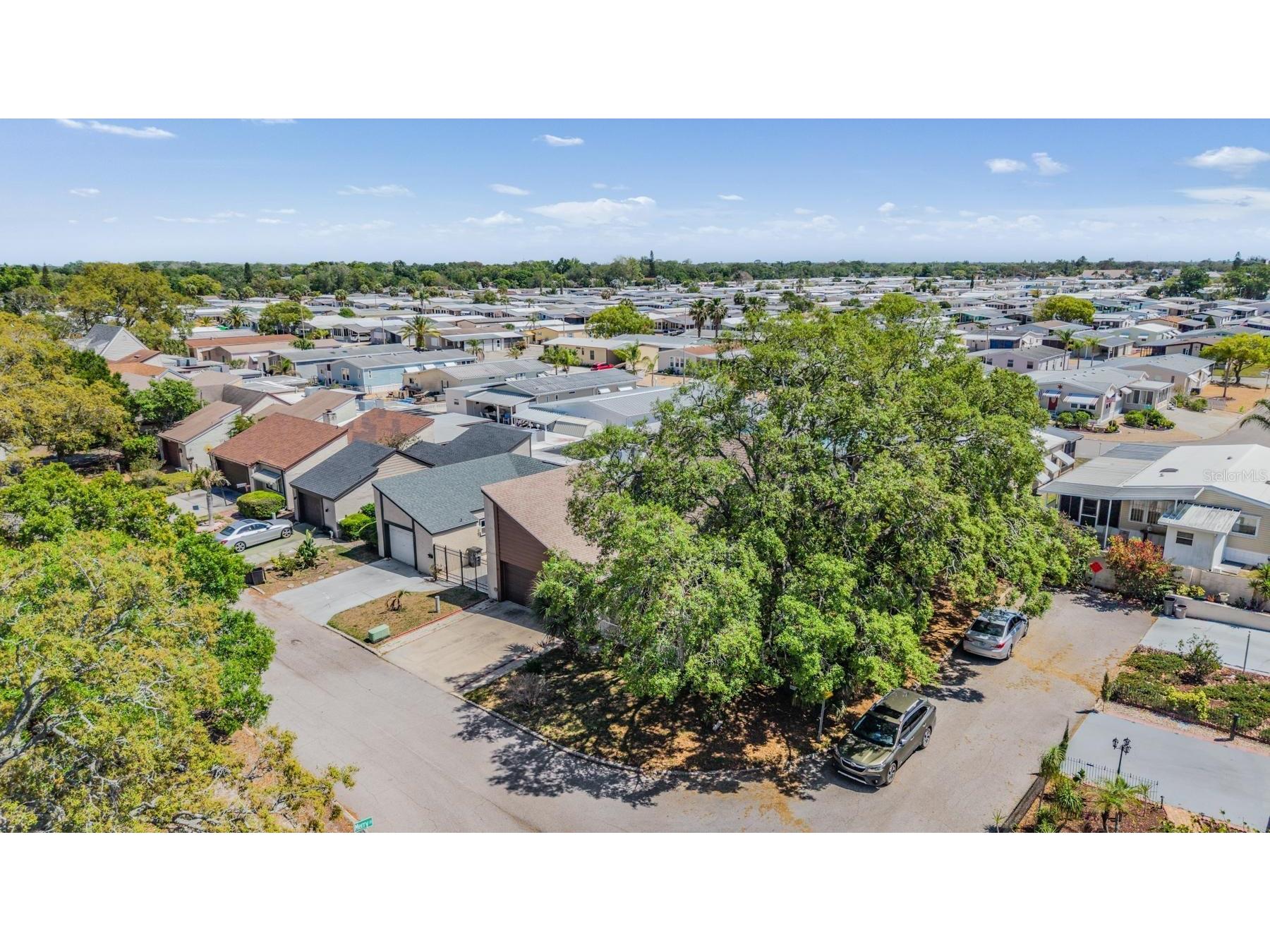 7300 Bellows Falls Lane Hudson FL 34667 TB8498507 image3