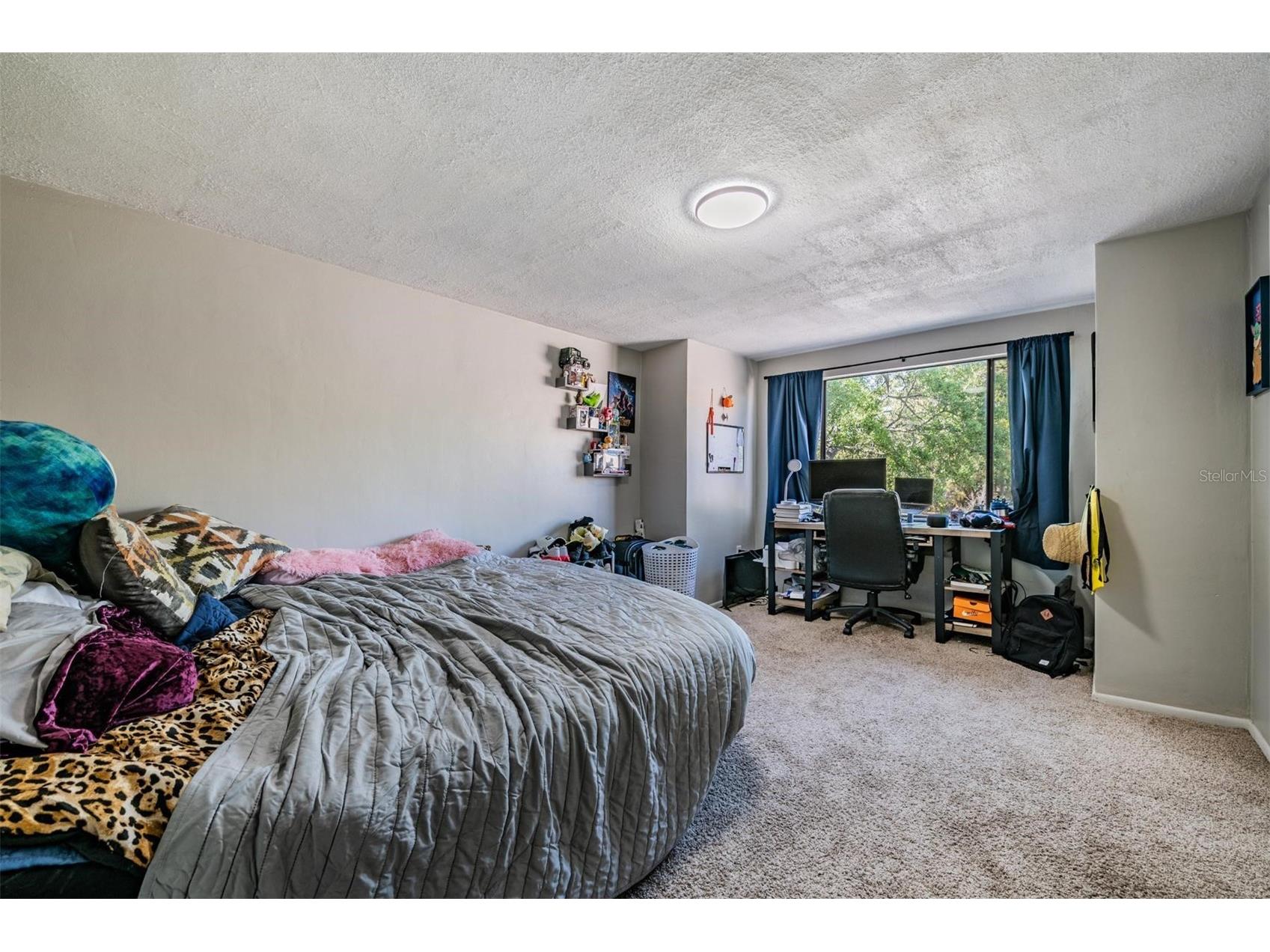 7300 Bellows Falls Lane Hudson FL 34667 TB8498507 image39