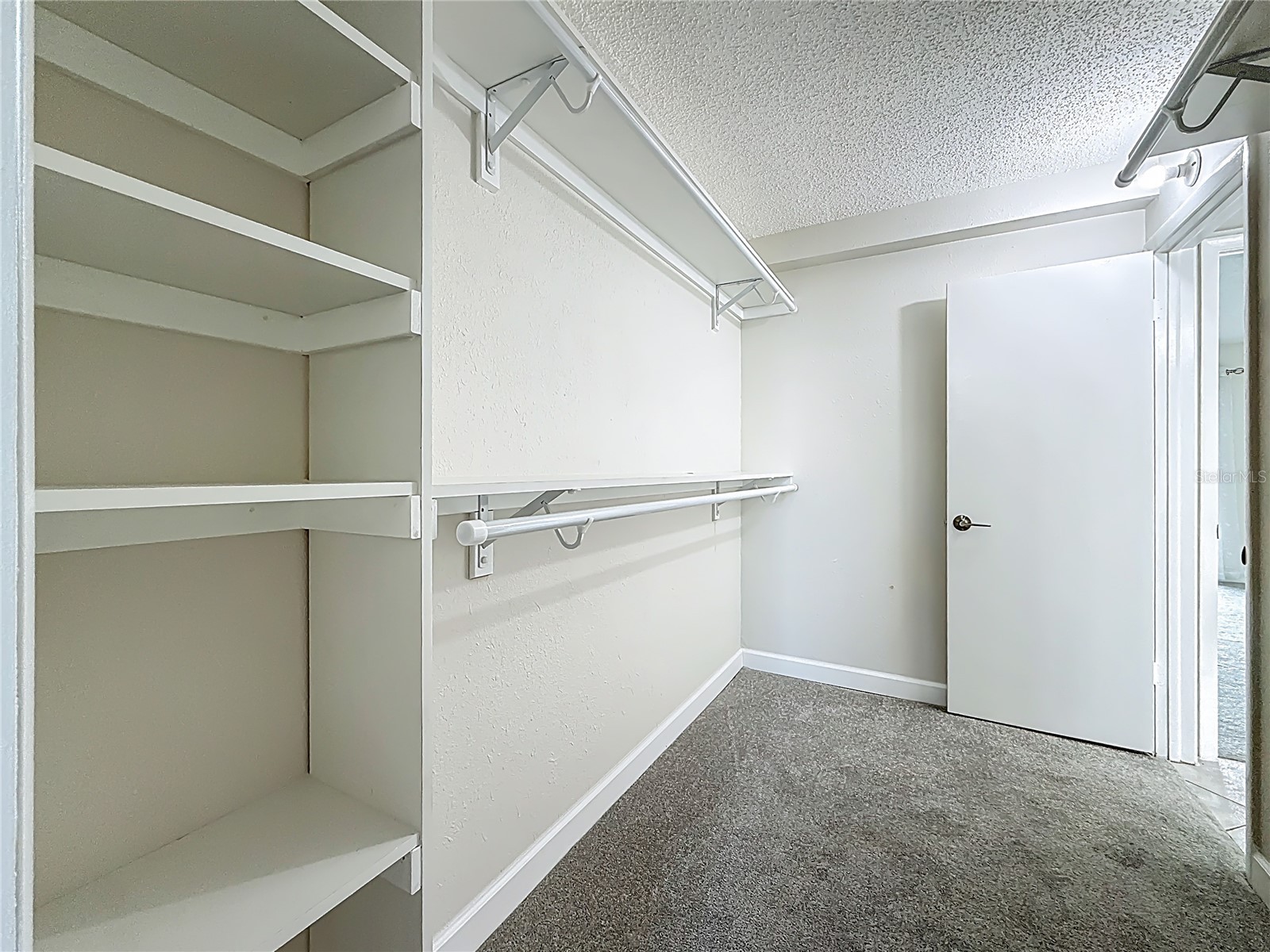 7300 Sun Island Dr S #1403 South Pasadena FL 33707 TB8499081 image29