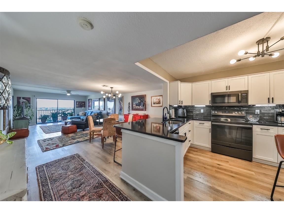 7300 Sun Island Drive S #1102 South Pasadena FL 33707 U8252644 image3