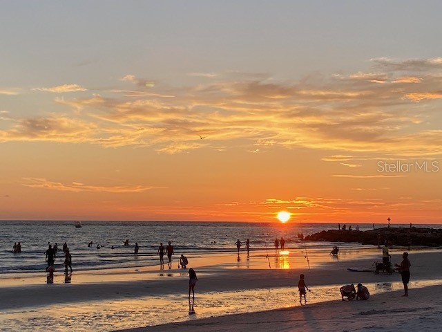 7300 Sun Island Drive S #1705 South Pasadena FL 33707 - BOCA CIEGA BAY TB8362424 image72