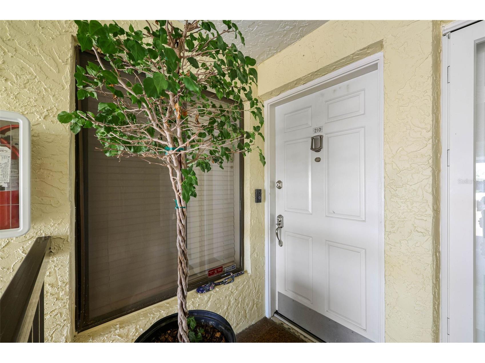 7300 Sunshine Skyway Lane S #210 Saint Petersburg FL 33711 TB8488425 image6