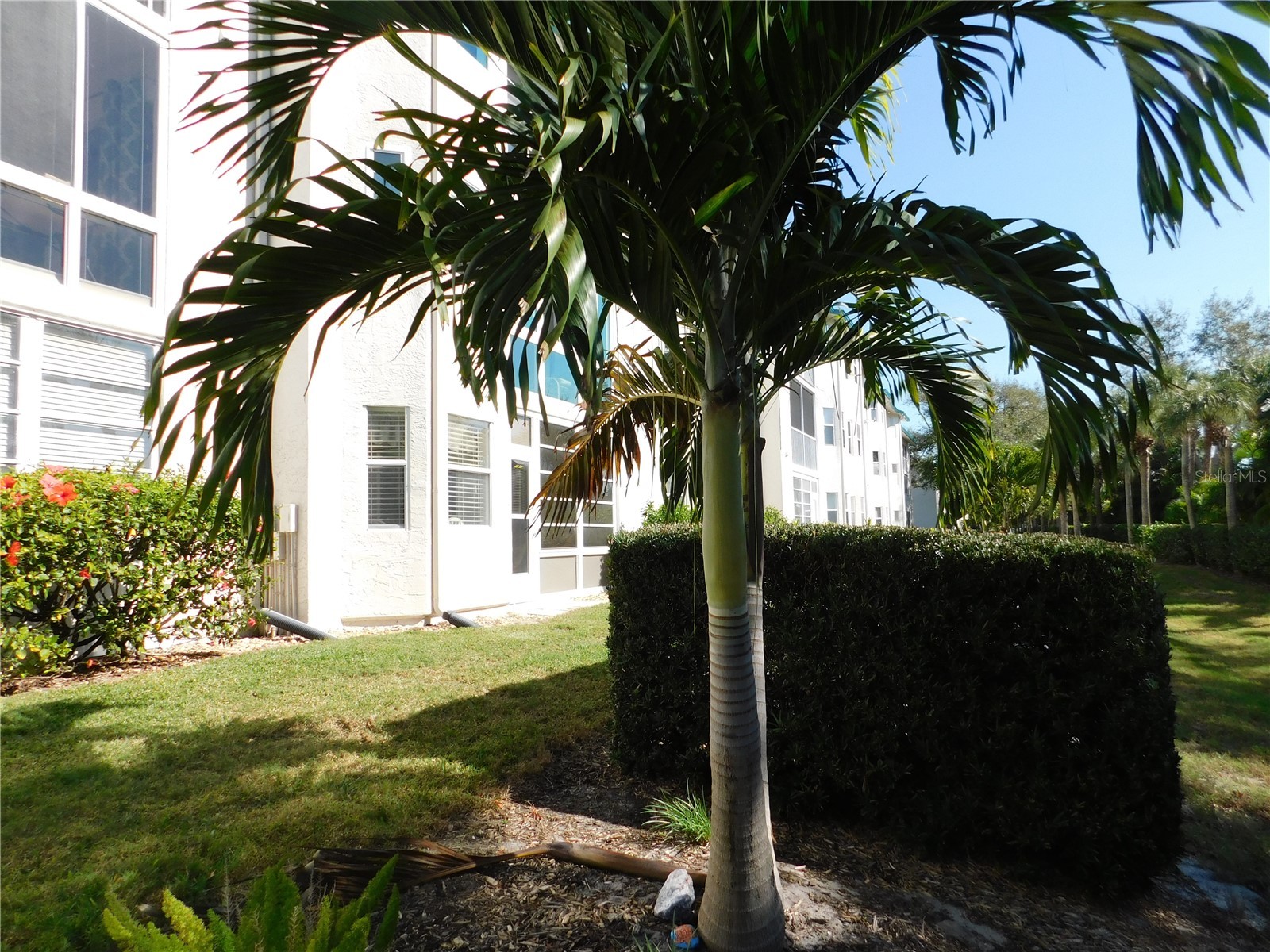 7301 29th Ave Dr W #108 Bradenton FL 34209 A4675378 image15