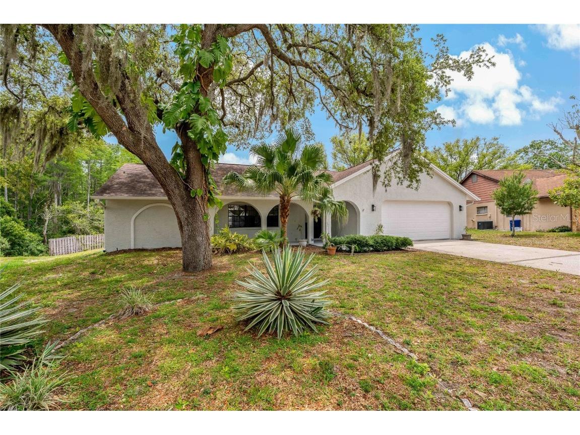 7301 Canvasback Drive New Port Richey FL 34654 U8243088 image1