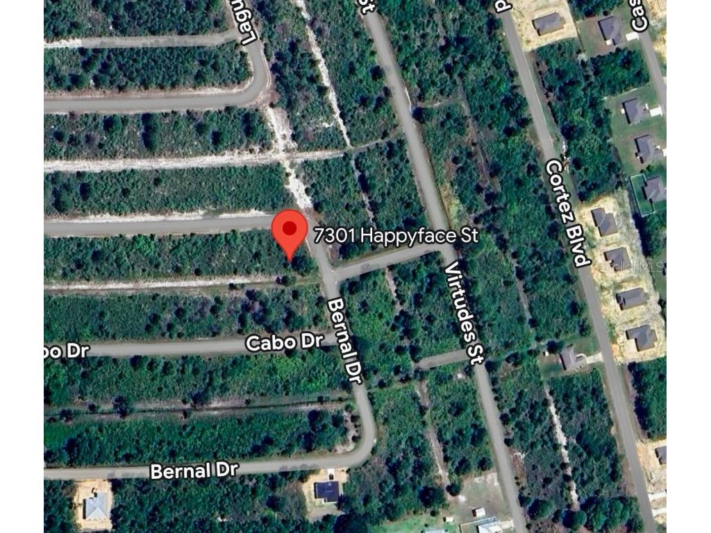 7301 Happyface Street Sebring FL 33872 S5117643 image1