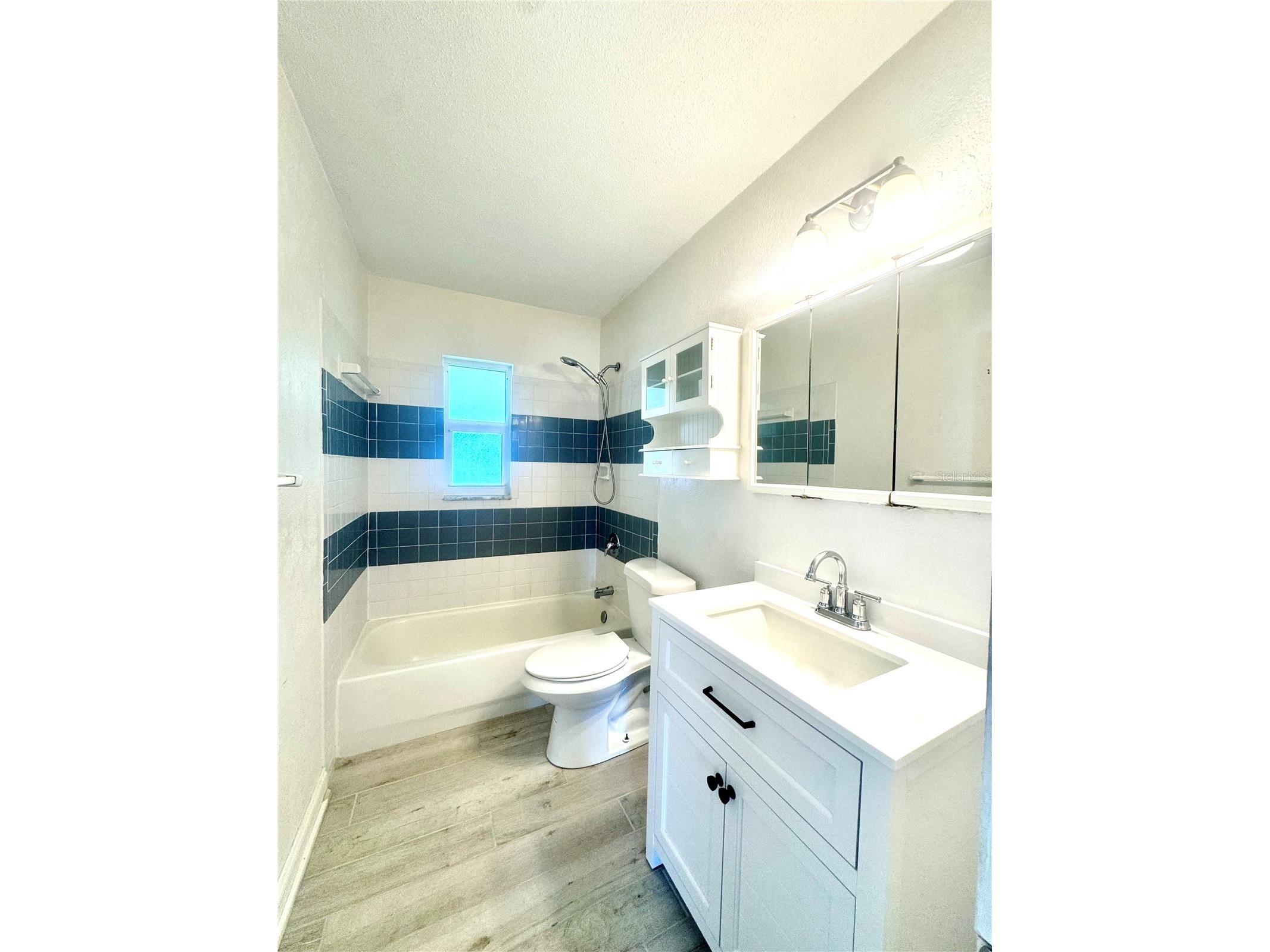 7302 Hatteras Drive Hudson FL 34667 TB8426473 image19