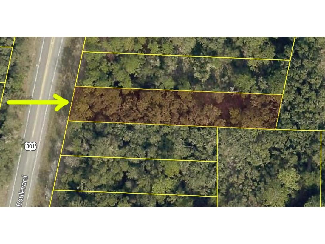 7302 Treiman Boulevard Webster FL 33597 TB8456411 image1