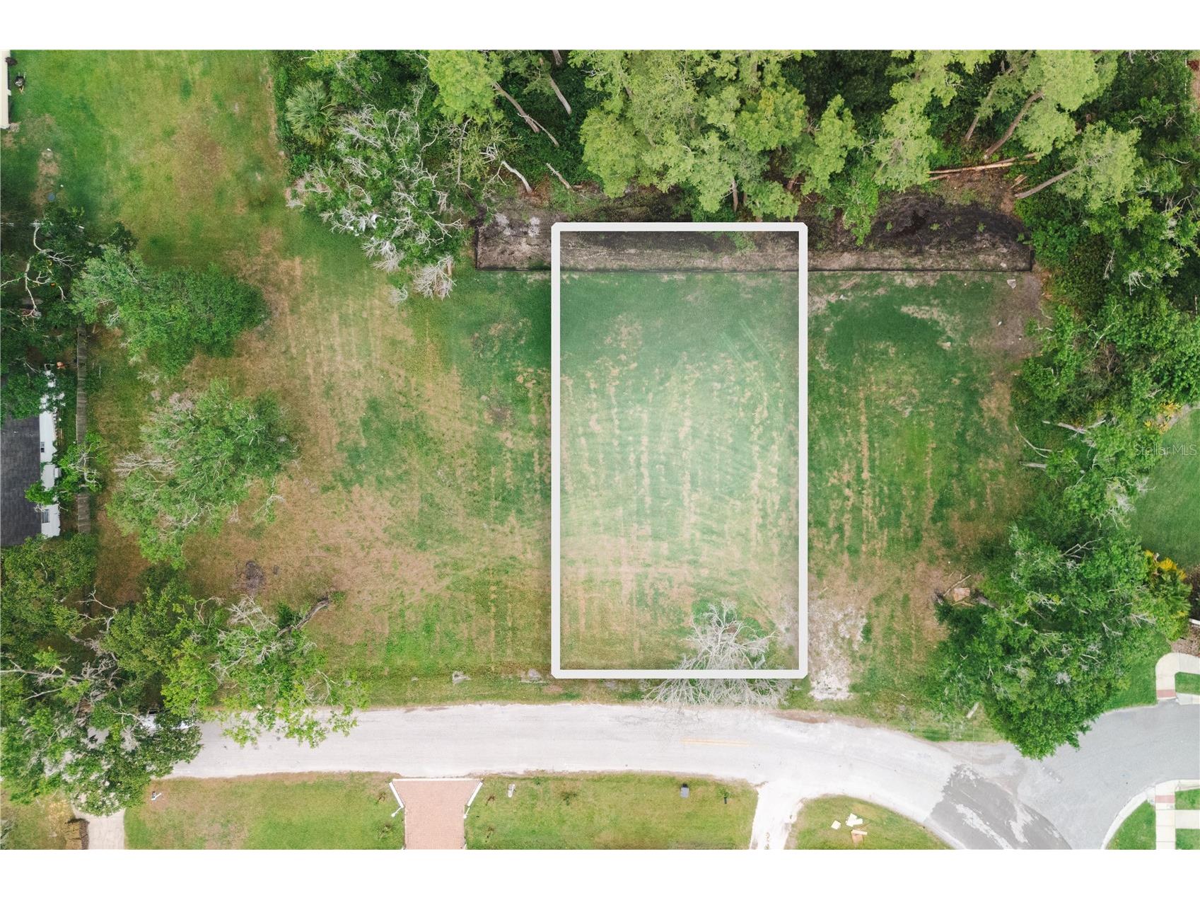 7303 Avonwood Street Tampa FL 33625 TB8462078 image1