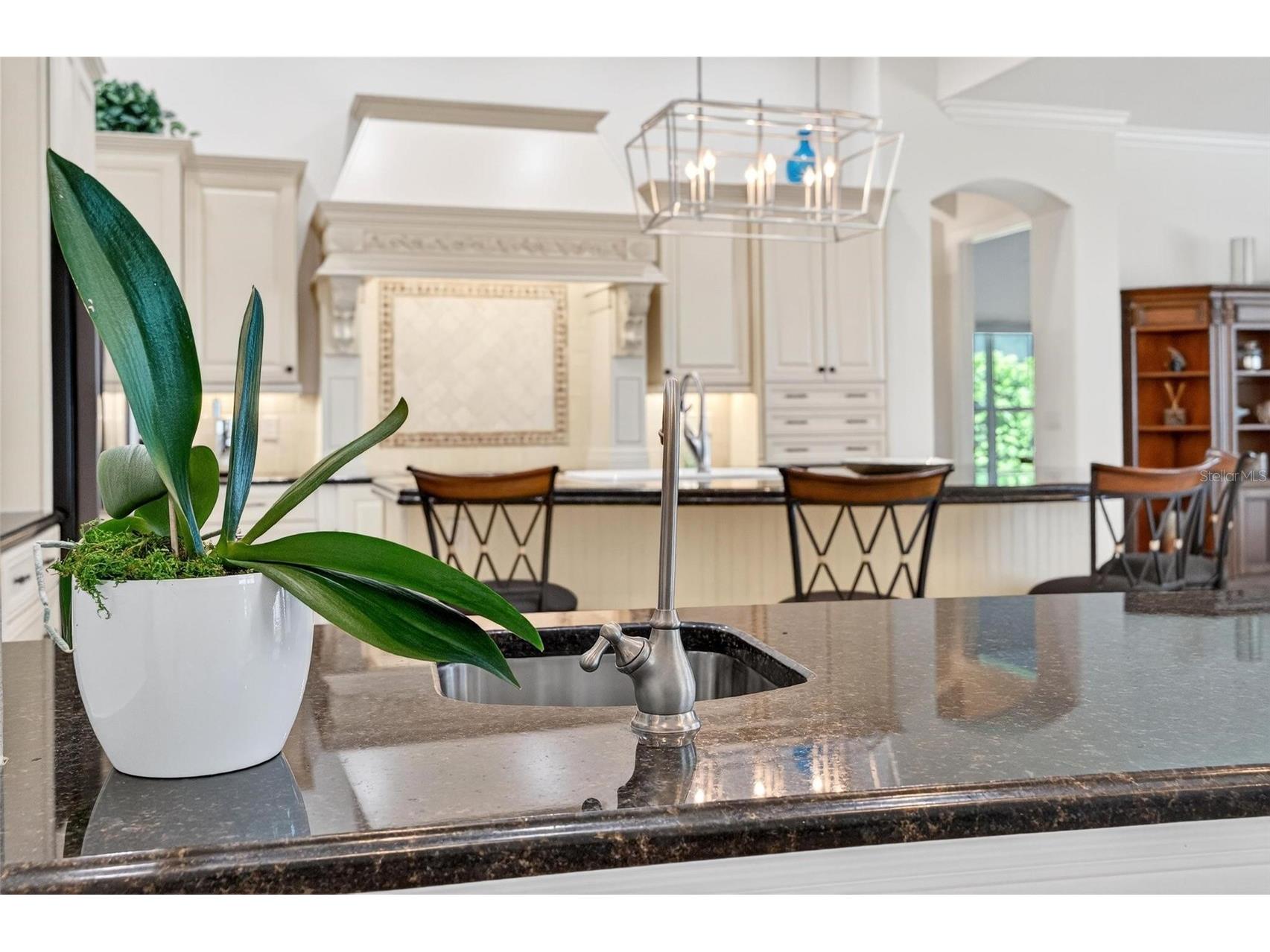 7303 Birds Nest Court Yalaha FL 34797 - LAKE HARRIS O6382514 image22