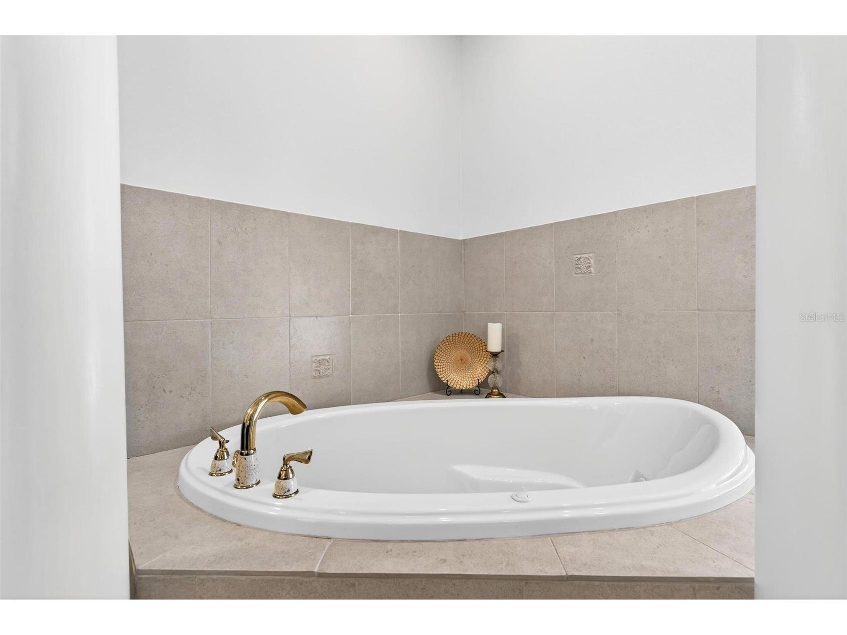 7303 Birds Nest Court Yalaha FL 34797 - LAKE HARRIS O6382514 image46