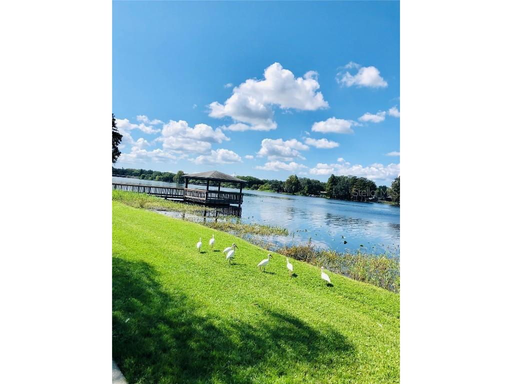 7303 E Bank Drive Tampa FL 33617 TB8443554 image28