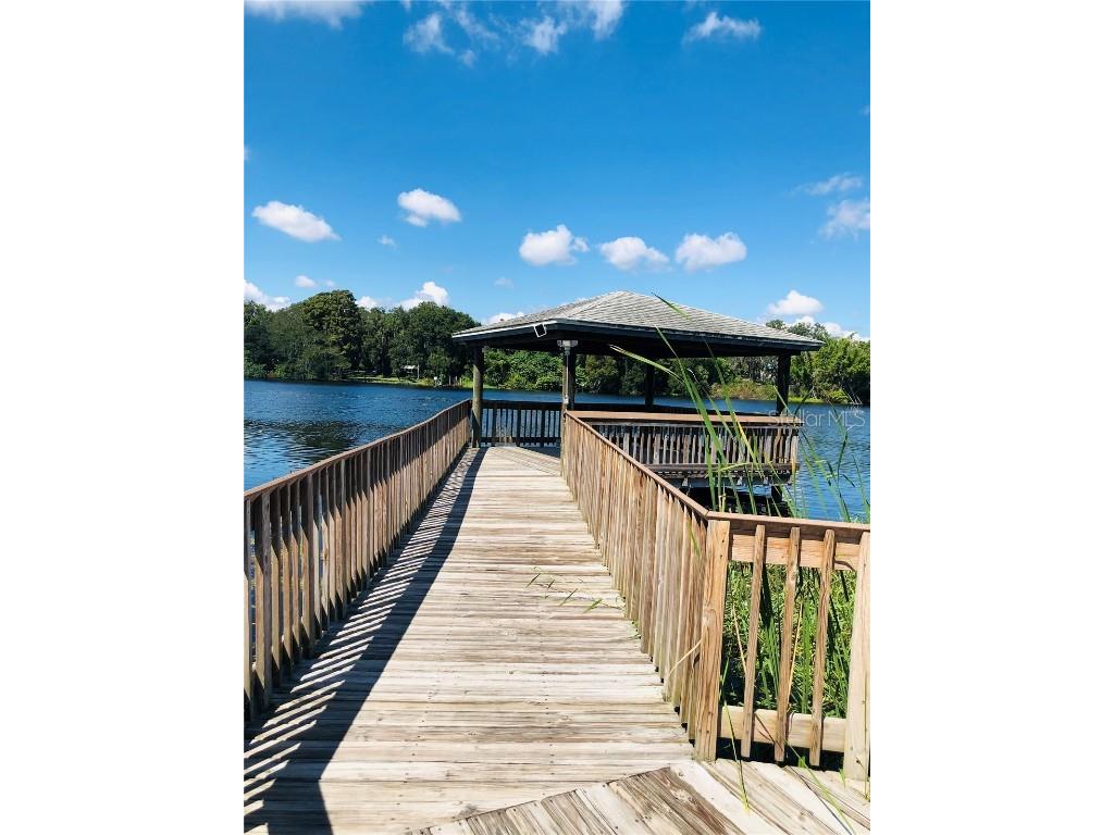 7303 E Bank Drive Tampa FL 33617 TB8443554 image30