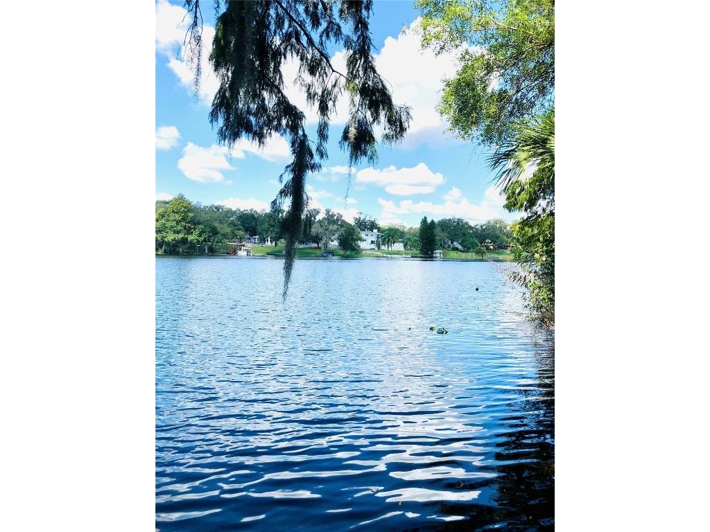 7303 E Bank Drive Tampa FL 33617 TB8443554 image33