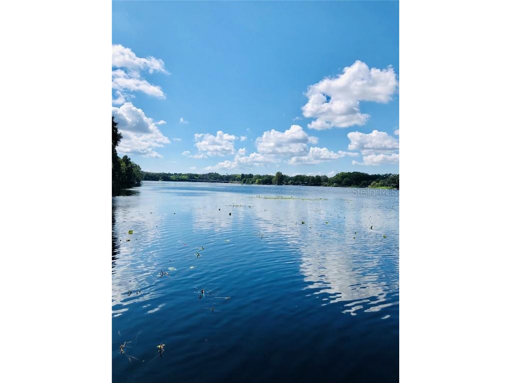 7303 E Bank Drive Tampa FL 33617 TB8443554 image34