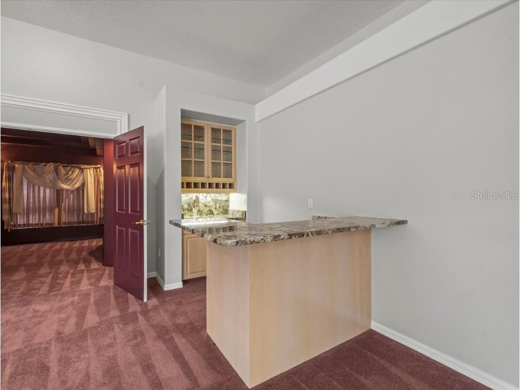 7303 Sawgrass Point Drive N Pinellas Park FL 33782 TB8424584 image23