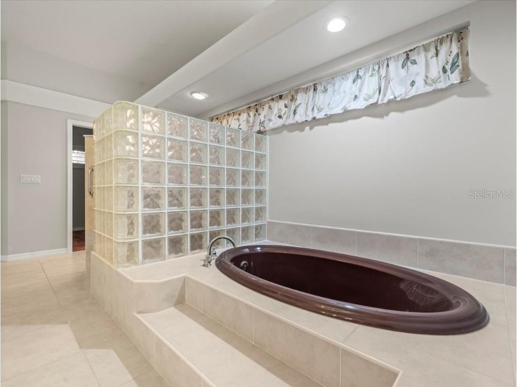 7303 Sawgrass Point Drive N Pinellas Park FL 33782 TB8424584 image48