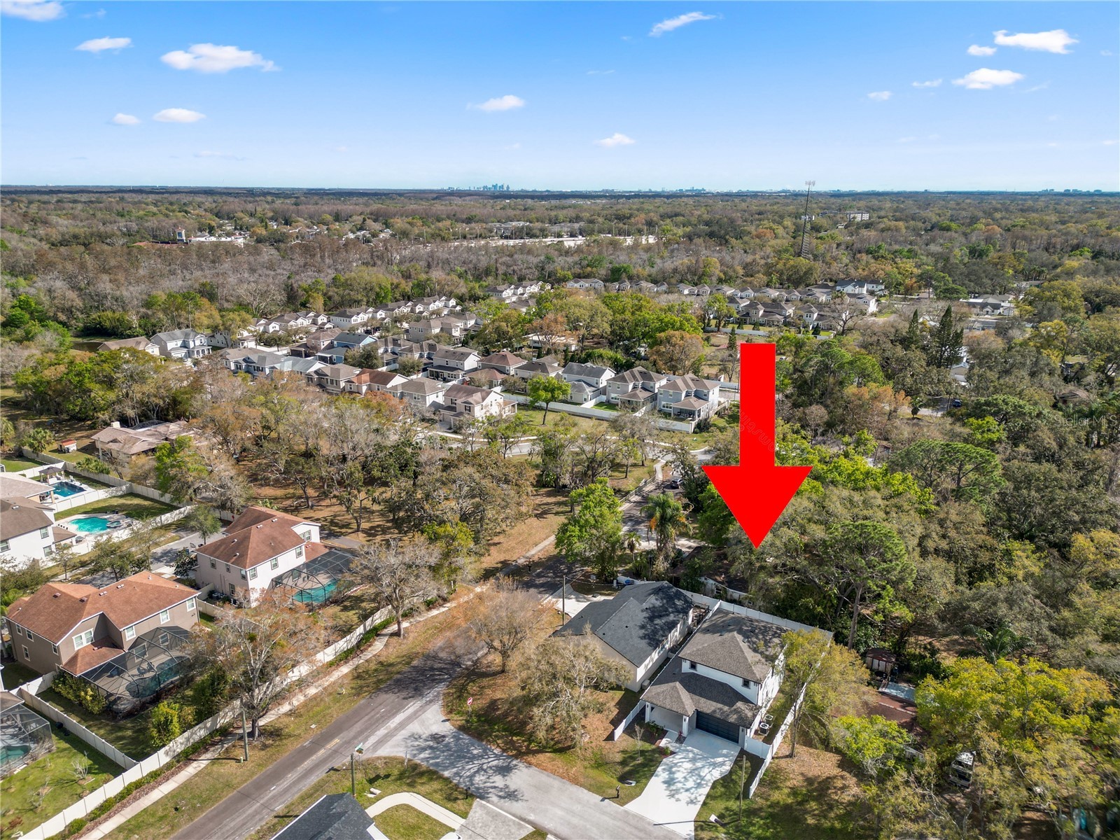 7304 Ardenwood Tampa FL 33625 L4959991 image46