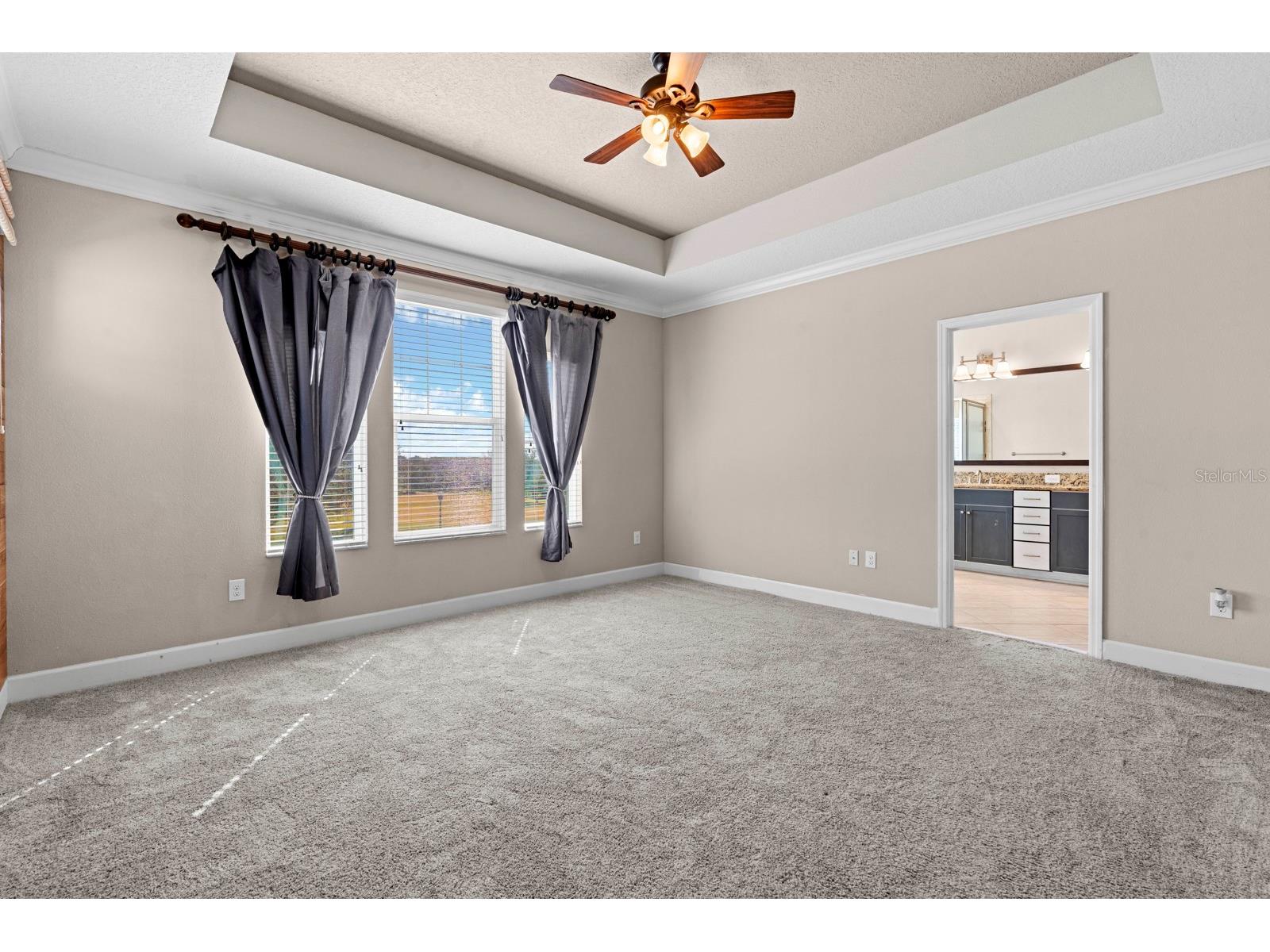 7304 Milestone Drive Apollo Beach FL 33572 TB8478975 image40