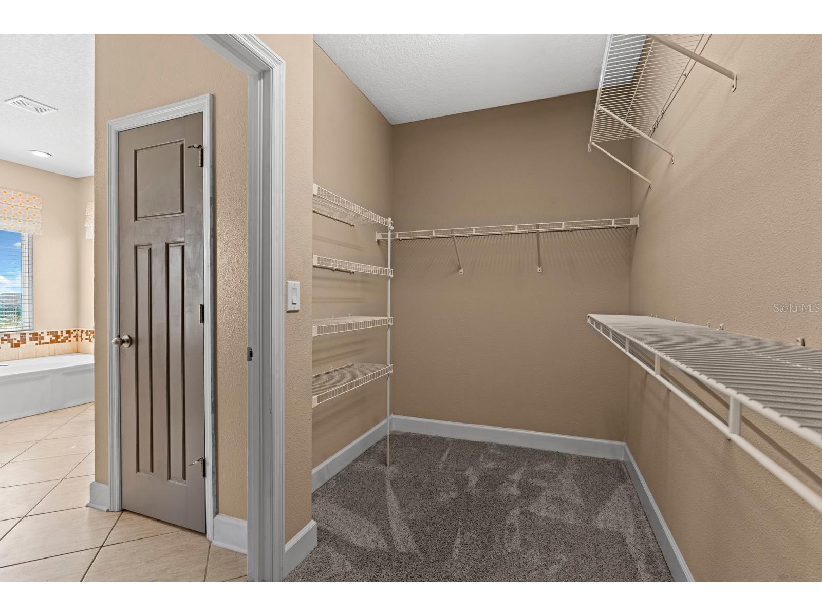 7304 Milestone Drive Apollo Beach FL 33572 TB8478975 image46