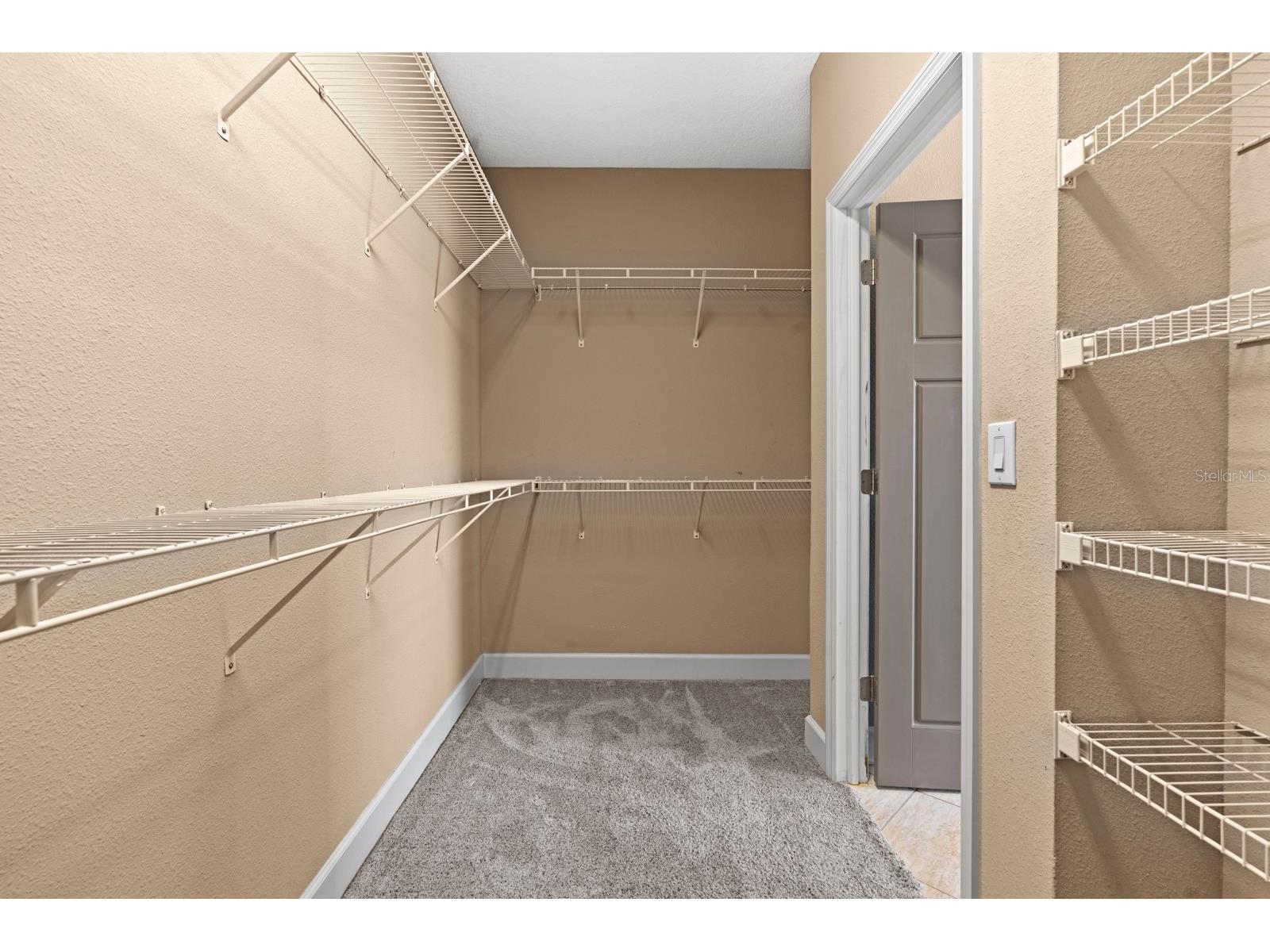 7304 Milestone Drive Apollo Beach FL 33572 TB8478975 image47