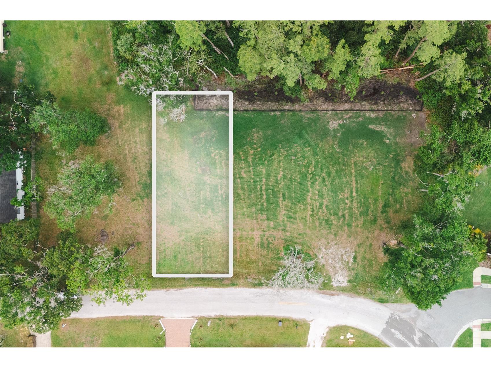 7305 Avonwood Drive Tampa FL 33625 TB8462089 image1