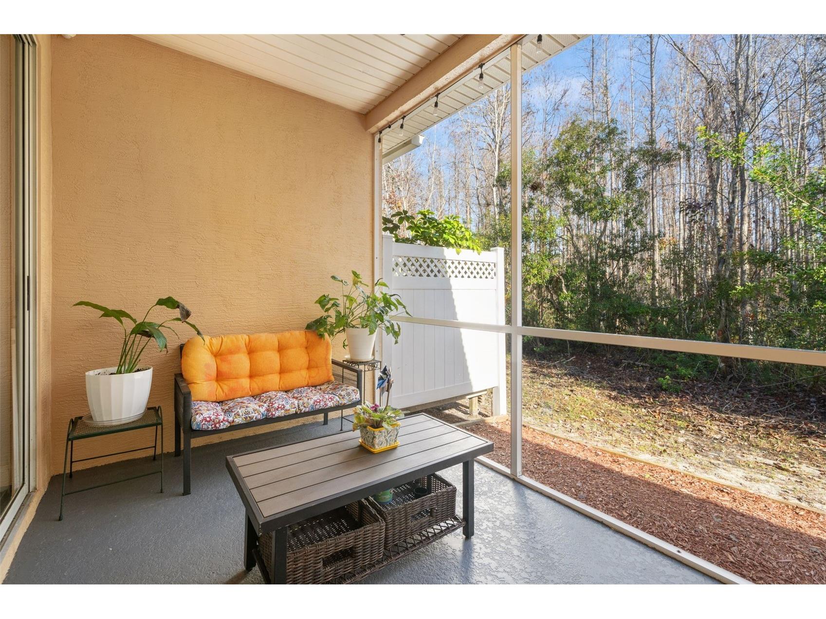 7305 Gaberia Road New Port Richey FL 34655 TB8459877 image35