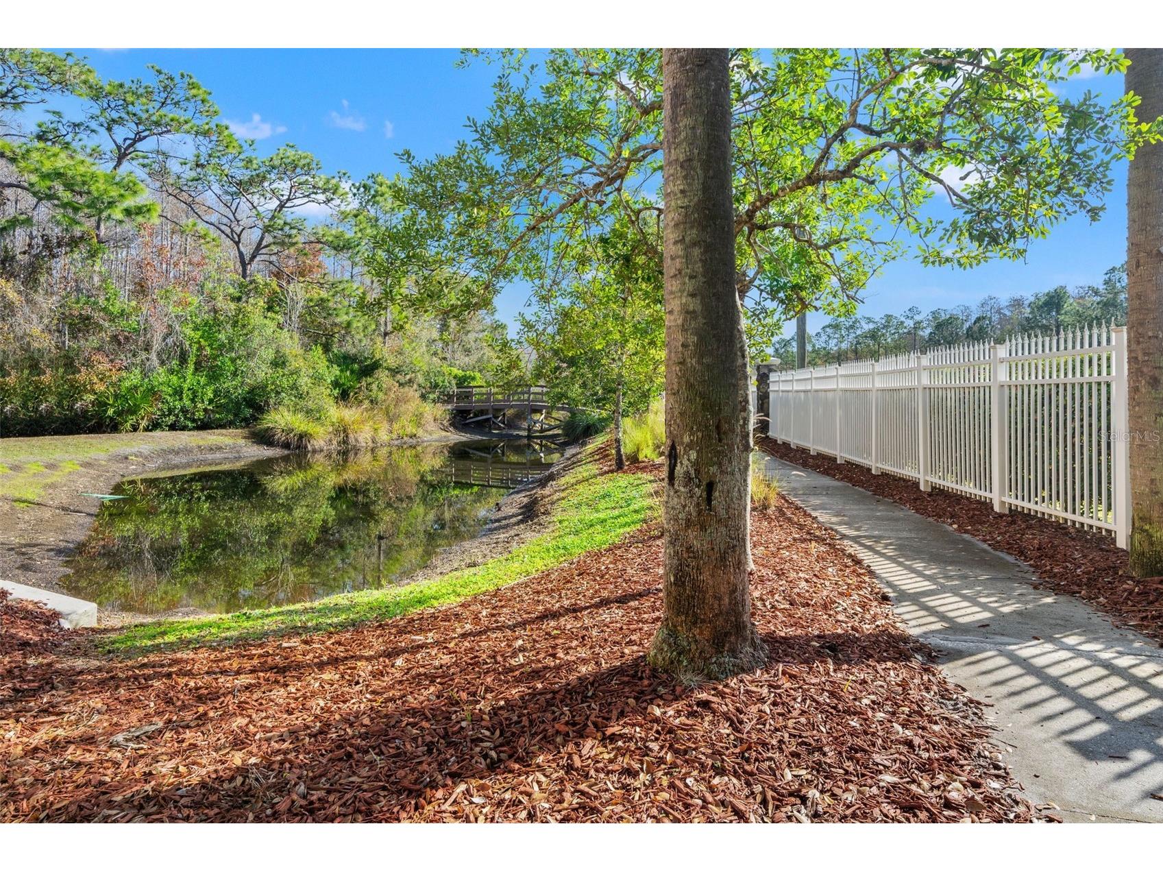 7305 Gaberia Road New Port Richey FL 34655 TB8459877 image36