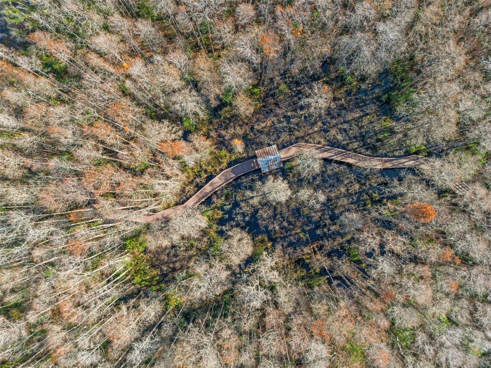 7305 Gaberia Road New Port Richey FL 34655 TB8459877 image40