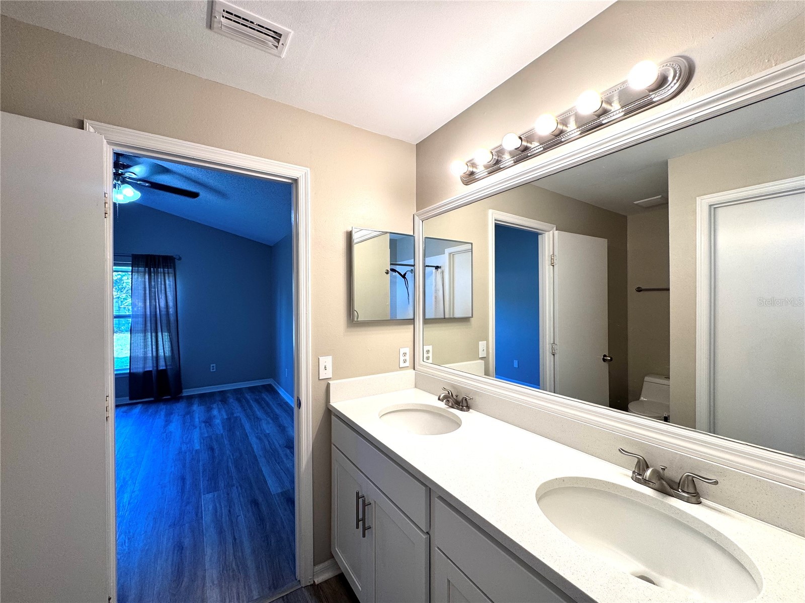 7305 Marseille Circle Orlando FL 32822 O6410031 image22