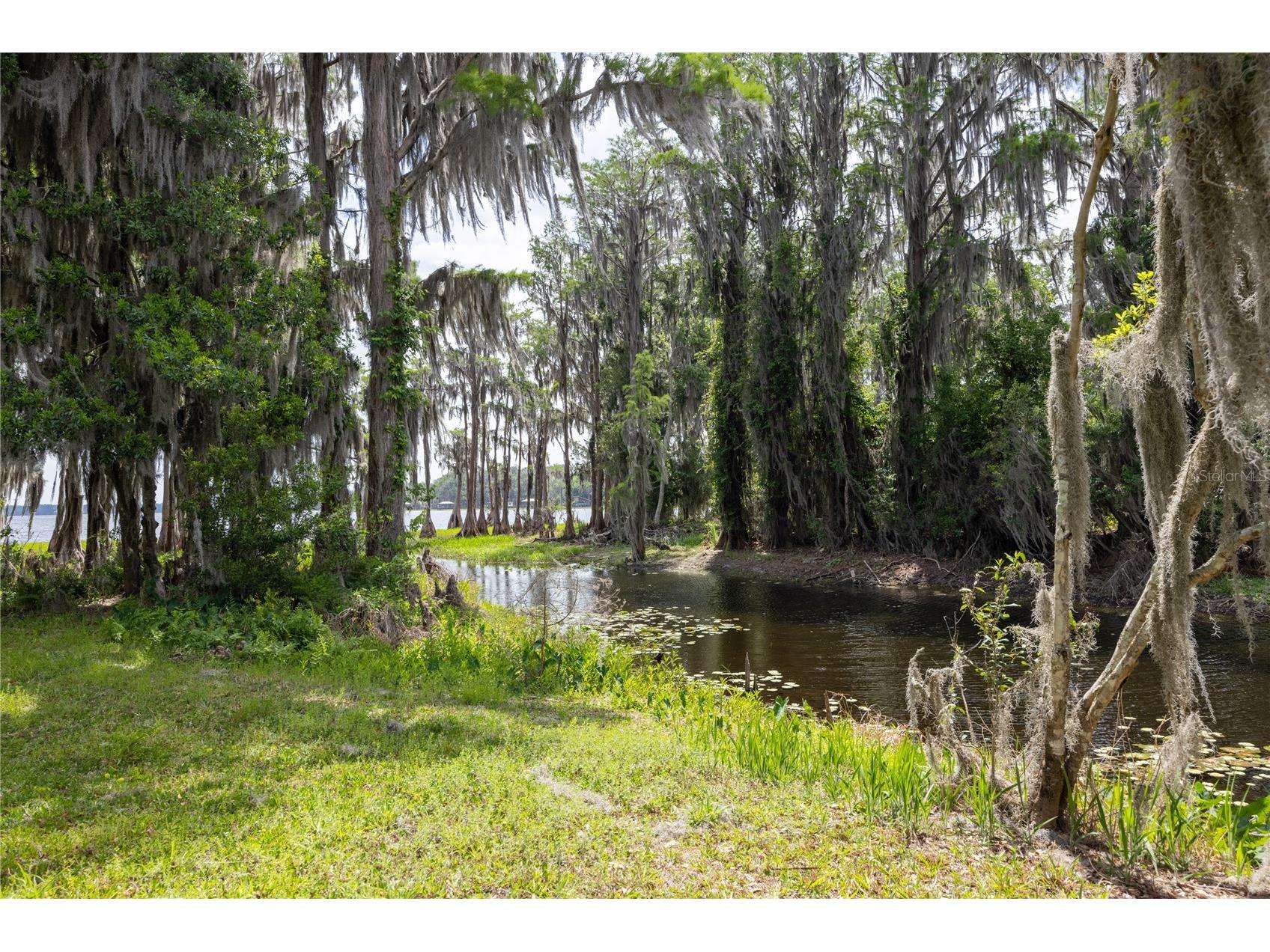7305 NE 222nd Street Melrose FL 32666 - LAKE SANTA FE GC539623 image21