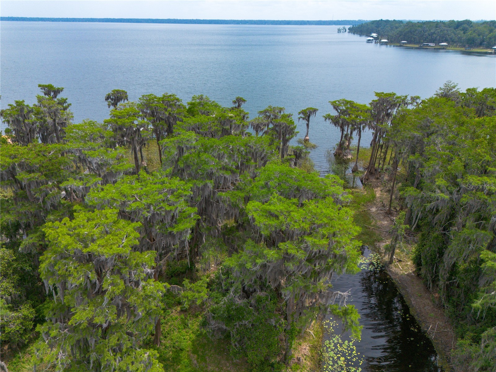 7305 NE 222nd Street Melrose FL 32666 - LAKE SANTA FE GC539623 image50