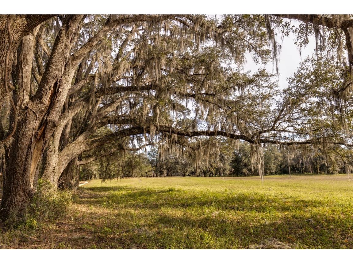 7305 NW 90th Avenue Ocala FL 34482 OM670167 image1
