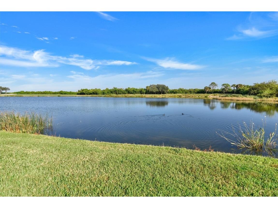 7305 River Hammock Drive #204 Bradenton FL 34212 TB8451904 image32