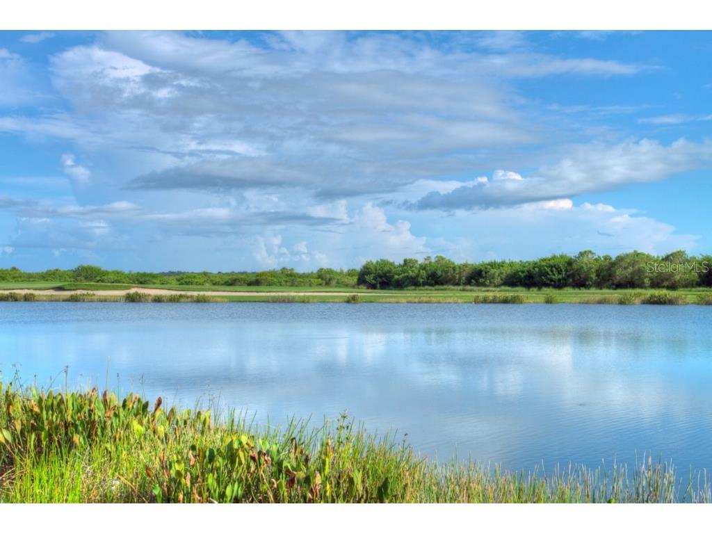 7305 River Hammock Drive #206 Bradenton FL 34212 A4103001 image7