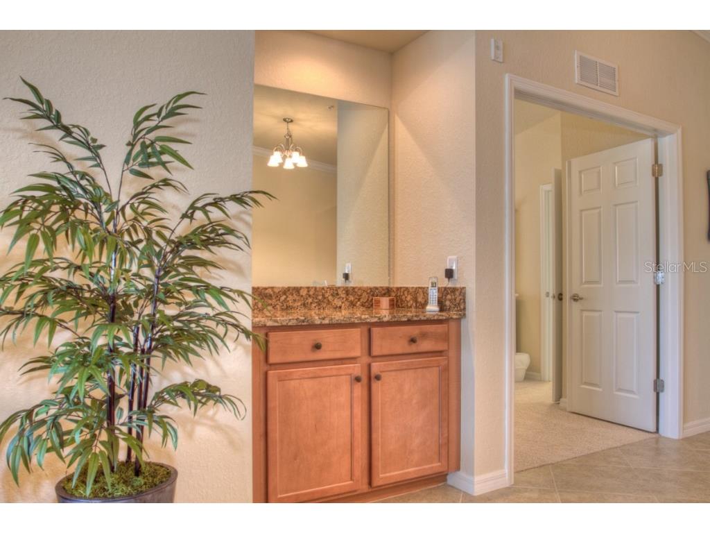 7305 River Hammock Drive #206 Bradenton FL 34212 A4103001 image9