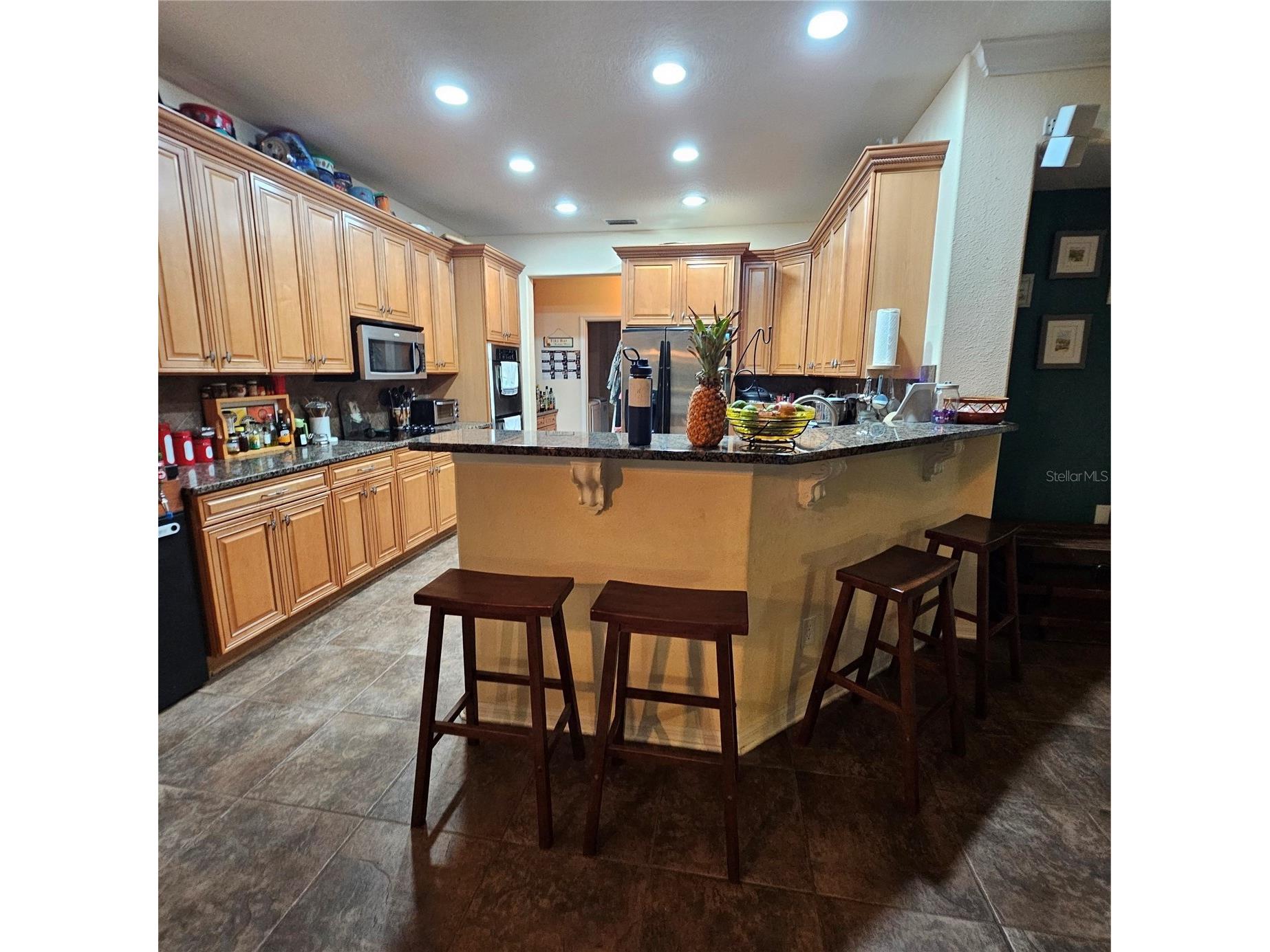 7306 Bridgeview Drive Wesley Chapel FL 33545 TB8523564 image14