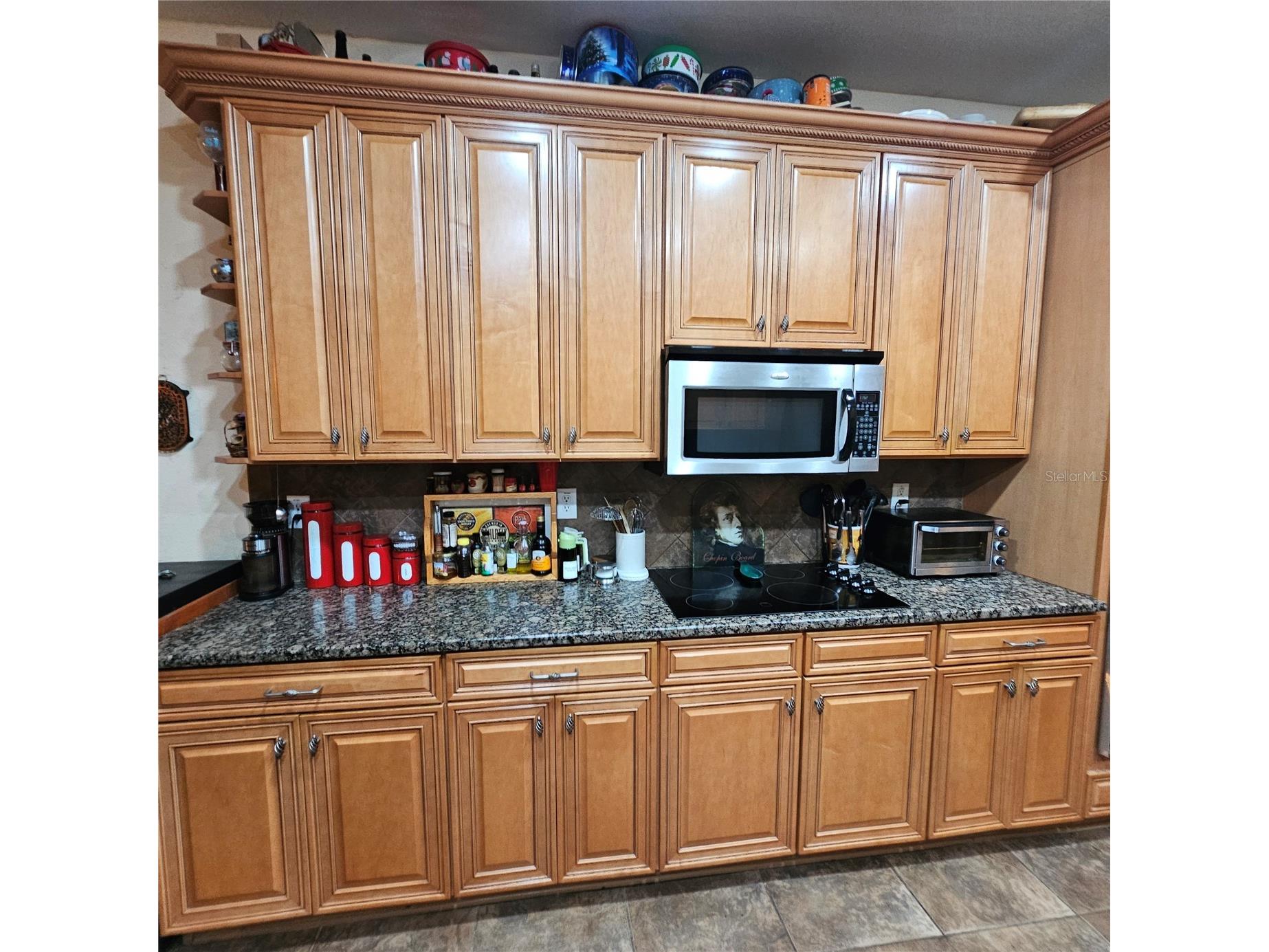 7306 Bridgeview Drive Wesley Chapel FL 33545 TB8523564 image15